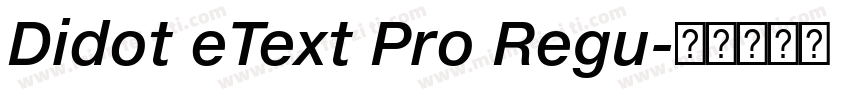 Didot eText Pro Regu字体转换